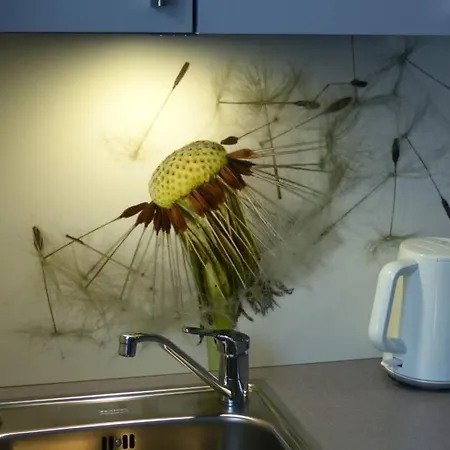 Tiny House Unterm Zwetschgenbaum